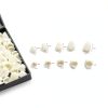 Dental Crown Form HRASY Tooth Caps 70pcs Hollow Temporary with Beads-1