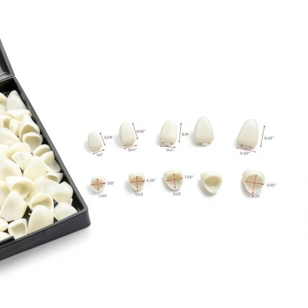 Dental Crown Form HRASY Tooth Caps 70pcs Hollow Temporary with Beads-1