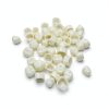 Dental Temporary Tooth Caps HRASY 120pcs Hollow for Teaching & Props-4