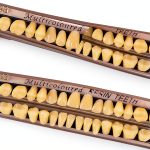 Ceonam A3 Acrylic Dental Denture Teeth Set 56pcs Resin False Teeth-0