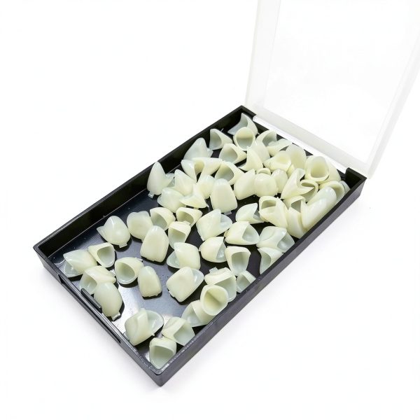 Dental Temporary Tooth Caps HRASY 120pcs Hollow for Teaching & Props-5