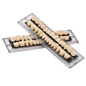 Angzhili Dental Acrylic Resin Denture Tooth Kit False Tooth For Halloween Horror Prop 23 A2(28 Pcs/Set)-0